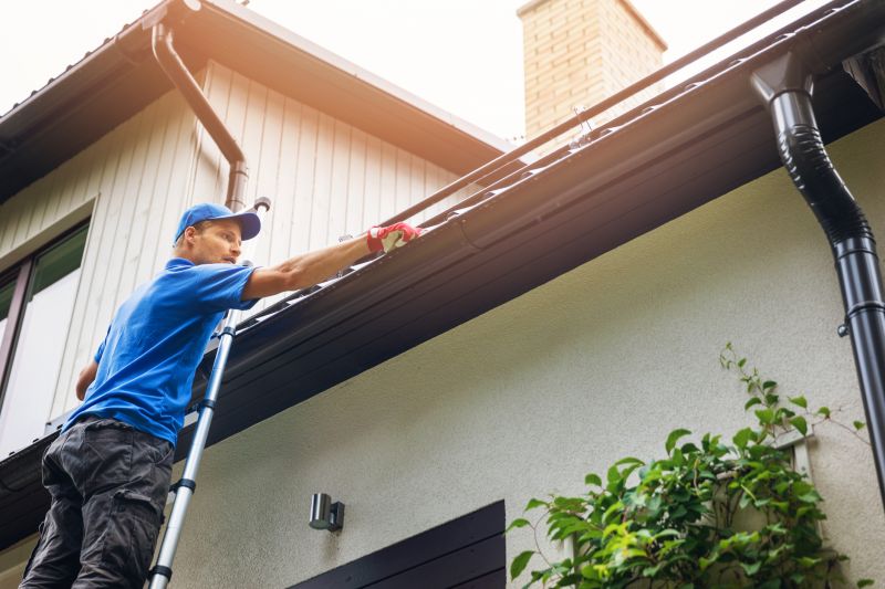 Ladder Safety in Gutter Cleaning